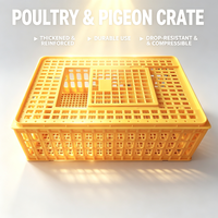 Caisse de transport pour volailles, cage à poulets en plastique orange avec dessus en maille