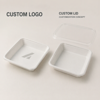 Plateau rectangulaire à emporter de haute qualité, écologique et biodégradable en canne à sucre/bagasse, 6, 7, 8, 9, 10, 13 pouces, à prix compétitif