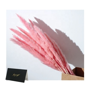 Wholesale 15-Stem <strong>Small</strong> Pampasgras <strong>Wreaths</strong> Hot Selling Natural Dry Flower Decorations for Wedding Home Valentine's Day Christmas - Product Image 5