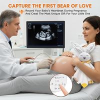 Boîte à musique personnalisée en forme de doudou pour bébé, 10 sons de bruit blanc, capteur de pleurs, minuterie 20-40 min, haut-parleur métallique rechargeable, jouet en peluche en plastique