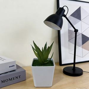 Plante artificielle en pot en plastique, mini bonsaï succulent en forme d'herbe d'aloe vera, plante verte décorative pour le salon, le meuble TV - Product Image 4