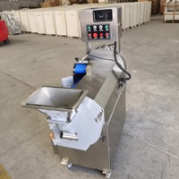 Machine à découper les légumes et les fruits multi-usages industrielle et commerciale avec double tête