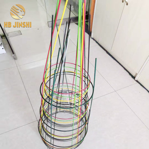 Cage grimpante à cerisier, cage ronde, fleur de tomate - Product Image 3