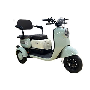 Triciclo eléctrico familiar de tres ruedas con toldo rígido impermeable para viajes al aire libre - Product Image 1