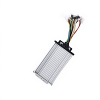 12-tube Brushless Sine Wave Motor Controller with Copper for Electric Tricycles and Electric Motorcycles 48V