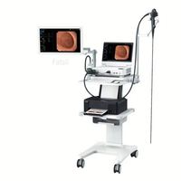 Système d'endoscopie HD portable Endoscope ORL Prix de gros Caméra d'endoscope médical pour la gorge du nez de l'oreille