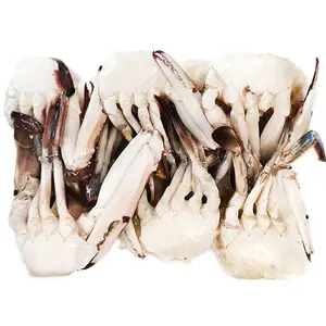 Natural high quality half frozen crab cutting hot selling crab meat fresh seafood original ecological delicious crab lumps