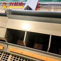 Nid de poule pondeuse ferme de poulets Nid d'oeufs de ponte de poulets automatique