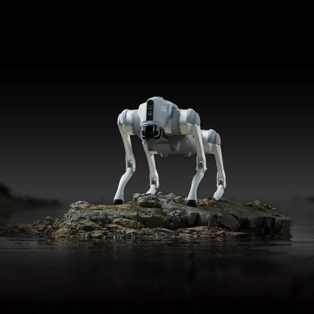 For Go2 AI Voice Control Lifelike Companion Robot Dog with Dash Cam and Graphical Programming
