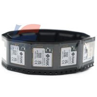 Module émetteur-récepteur LoRa à faible consommation d'énergie YJJ Standard LoRaWAN Protocol RAK3172