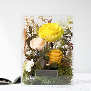 Boîte Cadeau en Acrylique pour Fleurs Préservées, Boîte à Roses Coulissante, Maison Florale en Acrylique Haut de Gamme, Cadeau de Saint-Valentin, Décoration Florale pour la Maison - Product Image 3