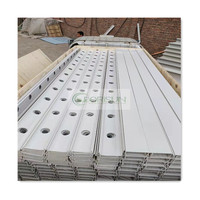 Grande serre en plastique d'usine Agriculture avec système hydroponique en PVC Fraise