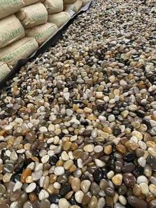 Pierre de galets de rivière, de jardin et d'aquarium décorative, de couleur mélangée, polie, roulée et naturelle, en gros, au meilleur prix - Product Image 3