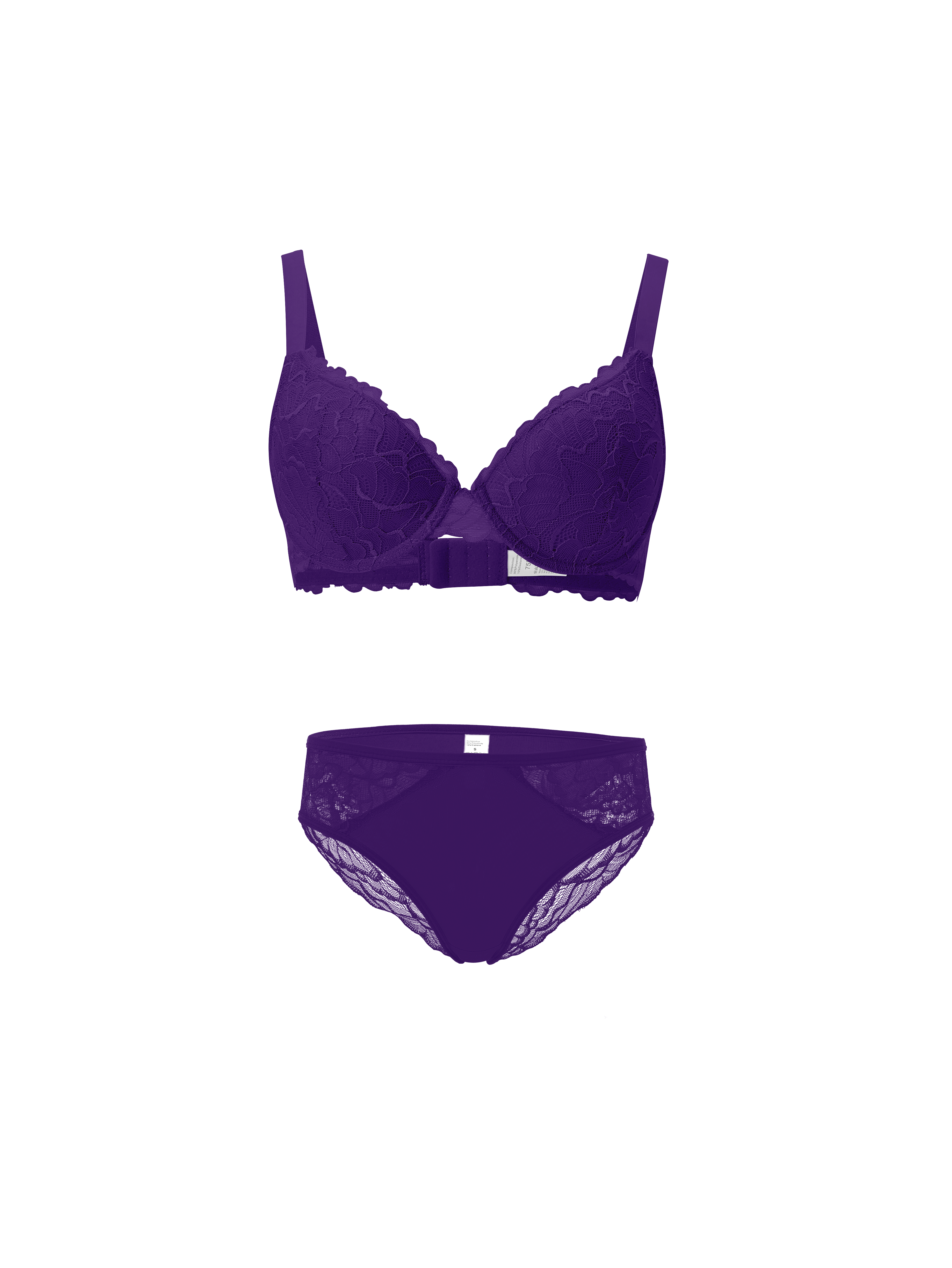 Viola