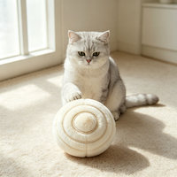 Jouet en peluche personnalisé pour animaux de compagnie, résistant aux morsures, en tissu doux, petit ballon de jeu pour animaux, cadeau de fête, approvisionnement en gros