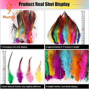 Plumes de Selle Assorties pour Embellissements Vestimentaires, Costumes de <span class=keywords><strong>Pirate</strong></span>, Accessoires de Cheveux de Mariée, Arrangements Floraux - Product Image 2