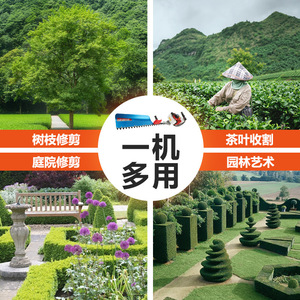 Factory Wholesale Tea-Leaf Pruning <b>Machine</b> Single-Person Gasoline Hedge Trimmer Two-Stroke Multi-Functional Tea-Picking <b>Machine</b> - Product Image 4