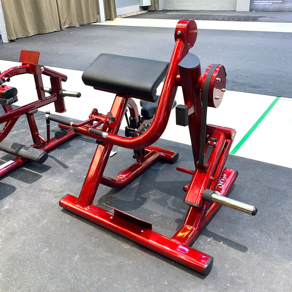 Partial Curl Curl Ups Meaning Seated Biceps Curl Exercise Machines