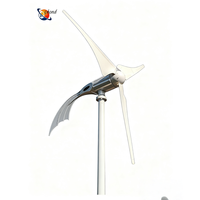 Éolienne domestique de type X 300W 400W 800W 1KW 2KW avec batterie lithium-ion et diamètre de rotor personnalisable
