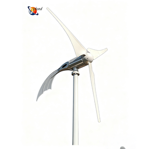 Aerogenerador Horizontal de 1KW 3KW 12V 24V 48V Más Económico, Generador de 5kw, Energía Gratuita para el Hogar y la Granja - Product Image 6