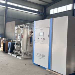 Sistema di generazione di azoto buon prezzo piccolo generatore di azoto liquido per il cibo - Product Image 2