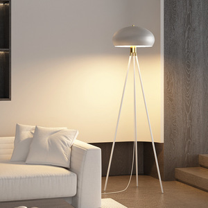 Bắc Âu sáng tạo đèn sàn phòng khách sofa bên chân máy đơn giản hậu hiện đại trang trí màu đen trắng kim loại Đèn sàn phòng ngủ - Product Image 4