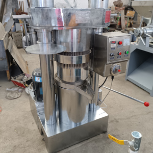 Prensa Hidráulica Automática de Aceite de la Marca Dingsheng, Venta al por Mayor de Fábrica, Extracción de Aceite de Sésamo, Prensado en Frío y Caliente, 150 kg/h, 5 Años de Garantía - Product Image 1