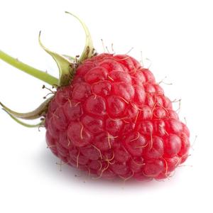 Ücretsiz Numune Tedariki Yüksek Kaliteli Saf Ahududu Özü Ücretsiz Numune ve Uygun Fiyatlı Saf Ahududu Özü - Product Image 2