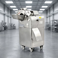 FONHON 750W Snijmachine voor diverse wortel- en stengelgroenten of fruit, eenvoudig te bedienen, verbruikt minder energie