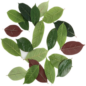 Hojas de Magnolia Artificiales, Flores de Seda, Decoración Verde para Exhibición en Tiendas y Arreglos Florales - Product Image 1