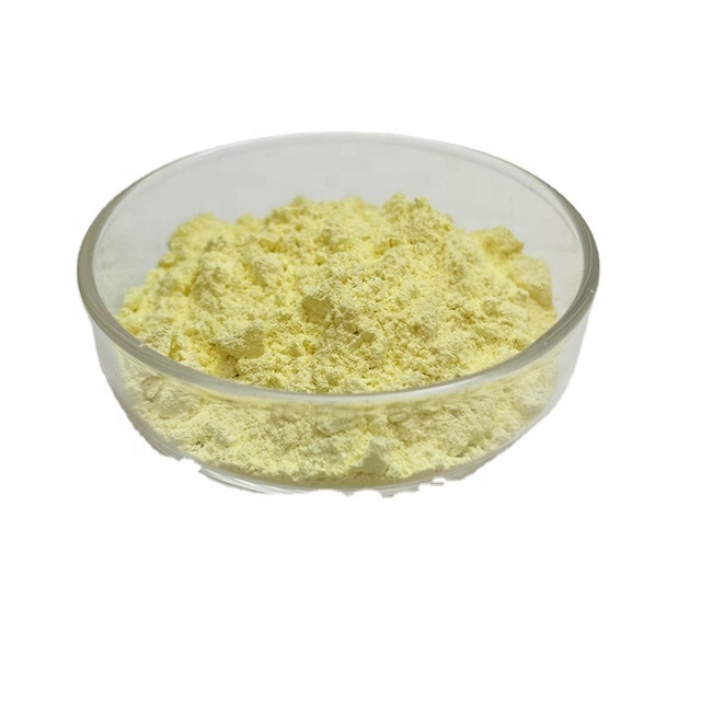 Food Grade Enzymatically Modified Isoquercitrin (EMIQ) 98% Powder Healthcare Ingredient Packaged in Drum or Plastic Container