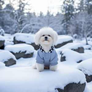 Chapeau et sweat-shirt à carreaux pour chiens, vêtements pour animaux de compagnie, manteau chaud d'hiver, vêtements pour petits chiens - Product Image 2