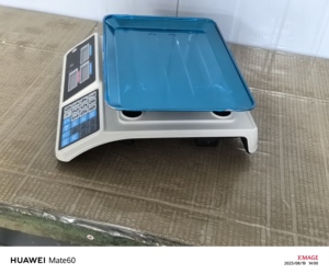 Bilancia Digitale da <span class=keywords><strong>40kg</strong></span> in Acciaio Inossidabile con Calcolo del Prezzo, Supporto ODM/OEM - Product Image 3