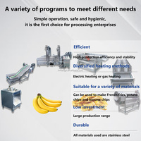 Automatische plantainsnijmachine SUS304, machine voor het maken van bananenchips, productielijn voor bananenchips