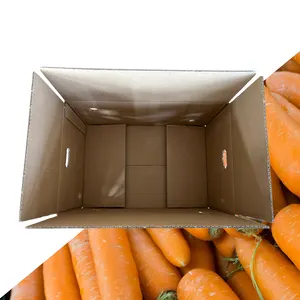 出厂价波纹强力B-Flute新鲜水果蔬菜纸板香蕉盒