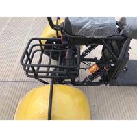 2020 EGS plus à la mode ville coco 3 roues 10 pouces scooter électrique pour adulte moto électrique