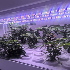 ไฟ <span class=keywords><strong>LED</strong></span> สำหรับปลูกพืชแบบไฮโดรโปนิกส์ สเปกตรัมเต็มรูปแบบ ปรับแต่งได้ สำหรับโรงงานปลูกพืชแนวตั้งในร่ม ไฟ <span class=keywords><strong>LED</strong></span> สำหรับการเจริญเติบโตของพืช - Product Image 6
