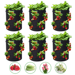 Sac de plantation pour fraises, intérieur/extérieur, sac de culture pour fraises - Product Image 1
