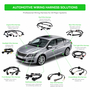 Fabricante OEM de Montagem de Fiação Automotiva Personalizada |   Fornecedor de Cabos de Fiação para Veículos à Prova d'Água - Product Image 3