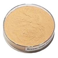 Vente en gros de poudre de levure de fourrage sec actif protéine additif de levure de qualité pour alimentation animale complément pour volaille pour aliments pour bovins porcs poulets - Product Image 3