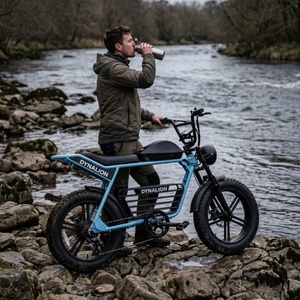 Vélo électrique tout-terrain robuste avec fourche à suspension avant, pédalier robuste pour les voyages en <span class=keywords><strong>camping</strong></span>-car et les excursions en plein air - Product Image 5