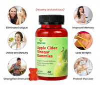 Bonbons gélifiés fonctionnels au vinaigre de cidre de pomme pour adultes, ODM OEM, multivitamines B12, niveaux d'énergie normaux, santé intestinale, 60 gommes