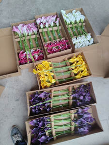 Fiori Artificiali Best Seller in EVA, Calla Nera e Viola, Centrotavola per Matrimoni, Decorazioni Floreali Realistiche all'Ingrosso - Product Image 6