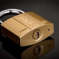 Échantillon disponible Cadenas en fer à clé atomique peint en laiton de haute qualité à demande active