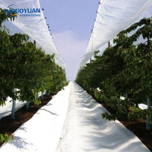 Agricultural Reinforced <strong>Replacement</strong> Curtain <strong>Greenhouse</strong> / Waterproof Woven Fabric PE Cherry Tarp <strong>Covering</strong> Cutting UV Stabilizer - Product Image 6