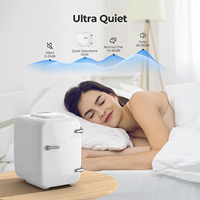 Mini Frigo Portable 4L pour Soins de la Peau, de Qualité et Abordable, Idéal pour Chambre ou Hôtel