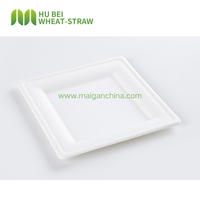 Assiette carrée jetable en bagasse 8x8 pouces sans BPA, robuste, biodégradable, écologique, de qualité alimentaire, pour fêtes, steak et dessert