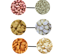 Machine à peler les amandes et les cacahuètes, éliminateur de peau rouge, fourni par l'usine