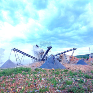 מסועים חגורת זנית מקצועית מסוע 1000 מ "מ - Product Image 4