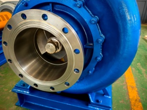 OEM Customized Wholesale 380V Three-Phase Motor 440m/h Flow Rate 20 Lift 304 Stainless Steel Flange Connection Horizontal <b>Pump</b> - Product Image 4